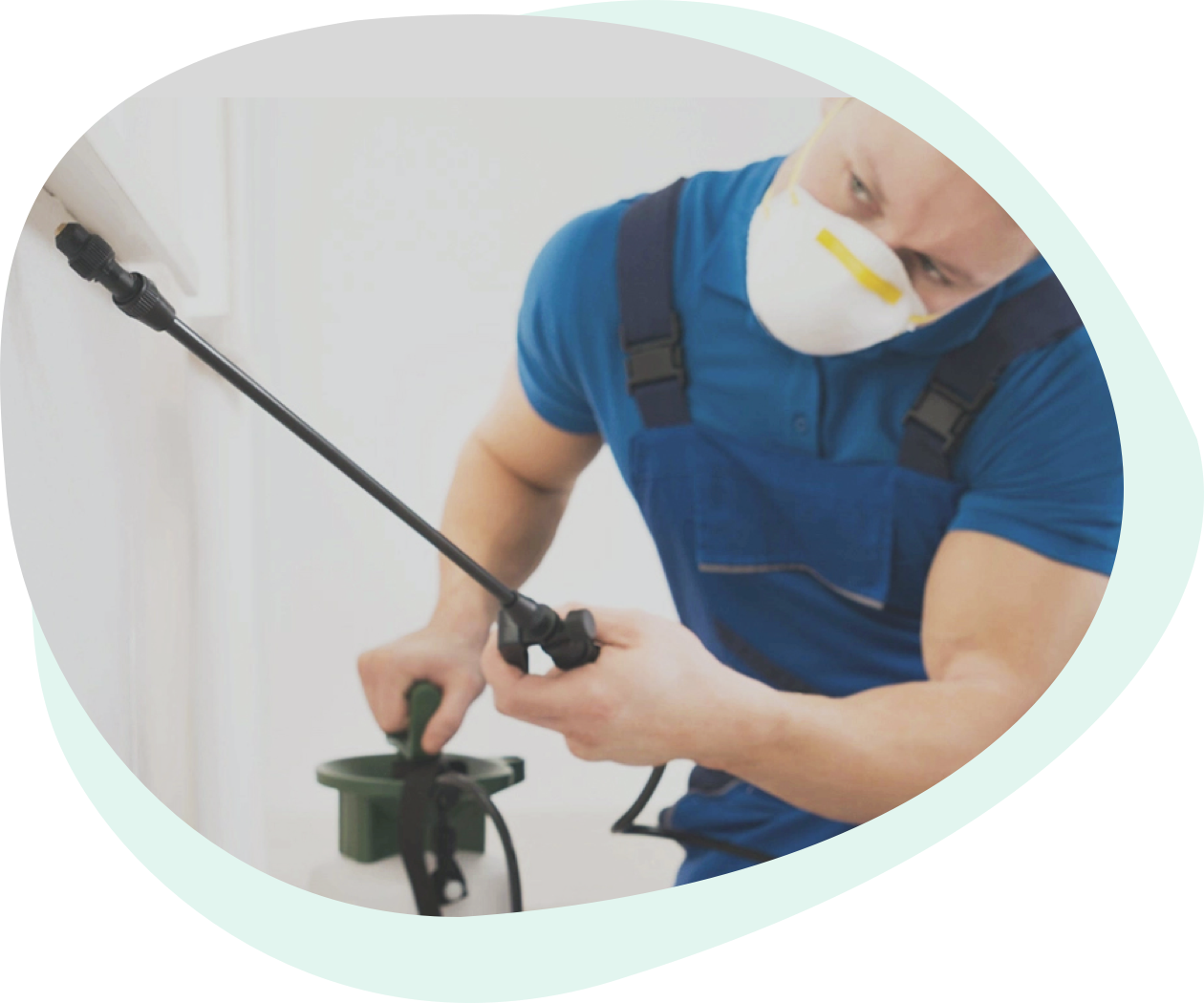 Güler Schädlingsbekämpfung - Unsere Leistungen für Unternehmen Güler Schädlingsbekämpfung - Unsere Leistungen für Unternehmen